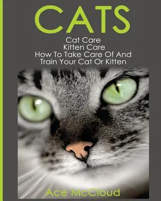 Gatos: Cuidado del gato: Cuidado de los gatitos: Cómo cuidar y adiestrar a su gato o gatito - Cats: Cat Care: Kitten Care: How To Take Care Of And Train Your Cat Or Kitten