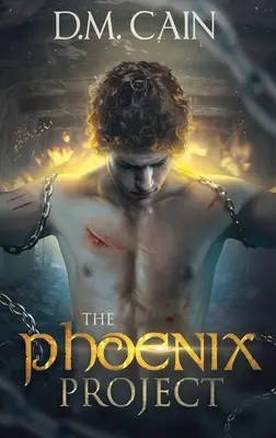 El Proyecto Fénix - The Phoenix Project