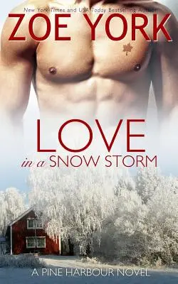 Amor en una tormenta de nieve - Love in a Snowstorm