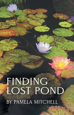 En busca del estanque perdido - Finding Lost Pond