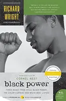 El poder negro - Black Power