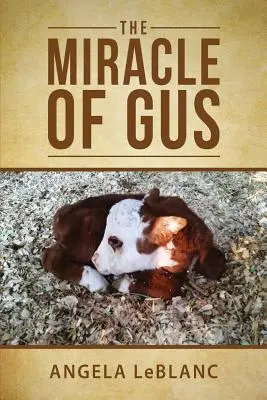 El milagro de Gus - The Miracle of Gus