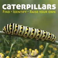 Orugas: Encuentra, identifica y cría las tuyas - Caterpillars: Find, Identify, Raise Your Own