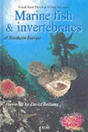 Peces e invertebrados marinos del norte de Europa - Marine Fish & Invertebrates of Northern Europe