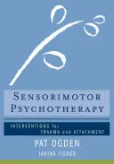 Psicoterapia Sensoriomotriz: Intervenciones para el trauma y el apego - Sensorimotor Psychotherapy: Interventions for Trauma and Attachment