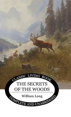 Secretos del bosque - Secrets of the Woods