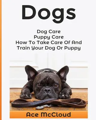 Perros: Cuidados del perro: Cuidado de cachorros: Cómo cuidar y adiestrar a su perro o cachorro - Dogs: Dog Care: Puppy Care: How To Take Care Of And Train Your Dog Or Puppy