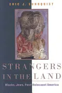 Strangers in the Land: Negros, judíos y la América posterior al Holocausto - Strangers in the Land: Blacks, Jews, Post-Holocaust America