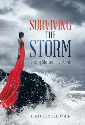 Sobrevivir a la tormenta: Encontrar refugio en la tormenta - Surviving the Storm: Finding Shelter in a Storm