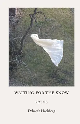 Esperando la nieve: Poemas - Waiting for the Snow: Poems