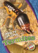 Termitas - Termites