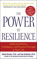 El poder de la resiliencia: Cómo lograr el equilibrio, la confianza y la fortaleza personal en tu vida - The Power of Resilience: Achieving Balance, Confidence, and Personal Strength in Your Life