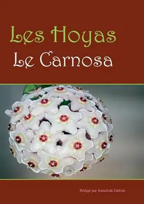 Les hoyas Les carnosas - Les hoyas: Les carnosas
