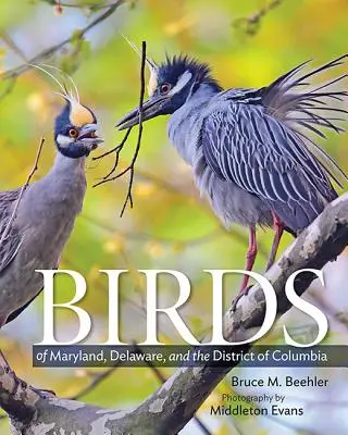 Aves de Maryland, Delaware y el Distrito de Columbia - Birds of Maryland, Delaware, and the District of Columbia