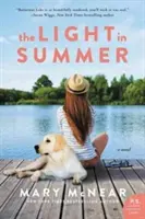 La luz del verano: Una novela de Butternut Lake - The Light in Summer: A Butternut Lake Novel