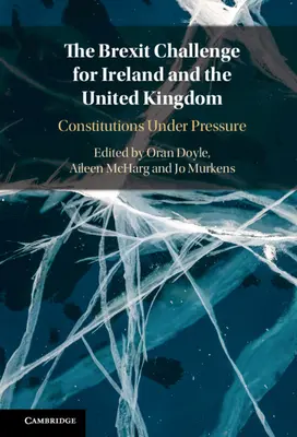 El desafío del Brexit para Irlanda y el Reino Unido - The Brexit Challenge for Ireland and the United Kingdom