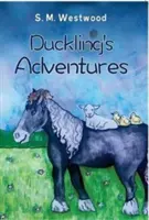 Las aventuras del patito - Duckling's Adventures