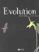 Evolución - Evolution