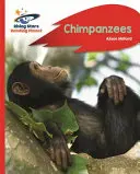 Reading Planet - Chimpancés - Rojo B: Rocket Phonics - Reading Planet - Chimpanzees - Red B: Rocket Phonics