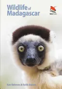 La fauna de Madagascar - Wildlife of Madagascar