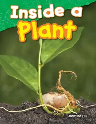 Dentro de una planta - Inside a Plant