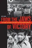 Desde las fauces de la victoria: Triunfo y tragedia de César Chávez y el movimiento de trabajadores agrícolas - From the Jaws of Victory: The Triumph and Tragedy of Cesar Chavez and the Farm Worker Movement