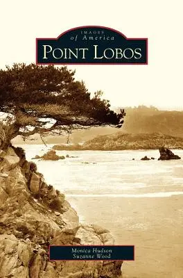 Punta Lobos - Point Lobos