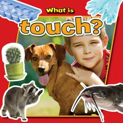 ¿Qué es el tacto? - What Is Touch?