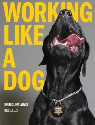 Trabajando como un perro - Working Like A Dog