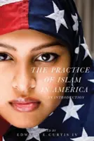 La práctica del Islam en América: Una introducción - The Practice of Islam in America: An Introduction