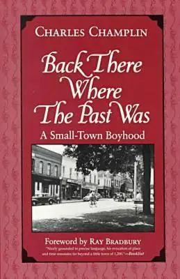 Allí donde estuvo el pasado: Una infancia de pueblo - Back There Where the Past Was: A Small-Town Boyhood