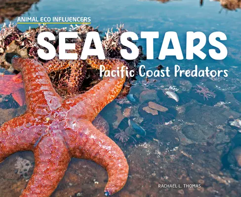 Estrellas de mar: Depredadores de la costa del Pacífico - Sea Stars: Pacific Coast Predators