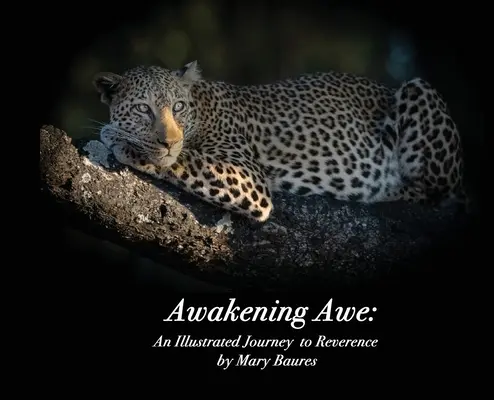 Despertar el asombro: Un viaje ilustrado a la reverencia - Awakening Awe: An Illustrated Journey to Reverence