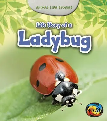 La vida de una mariquita - Life Story of a Ladybug