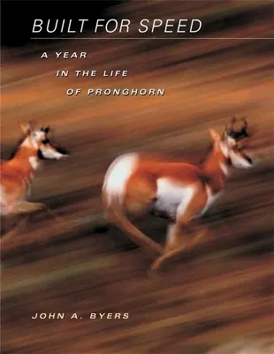 Construido para la velocidad: Un año en la vida de Pronghorn - Built for Speed: A Year in the Life of Pronghorn