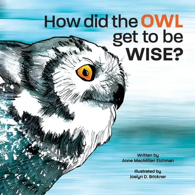 Cómo llegó el búho a ser sabio - How Did the Owl Get to Be Wise