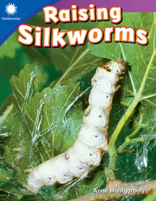 Criar gusanos de seda - Raising Silkworms