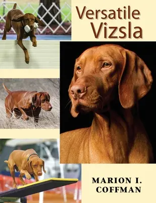 Vizsla versátil - Versatile Vizsla