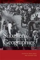 Geografías subalternas - Subaltern Geographies