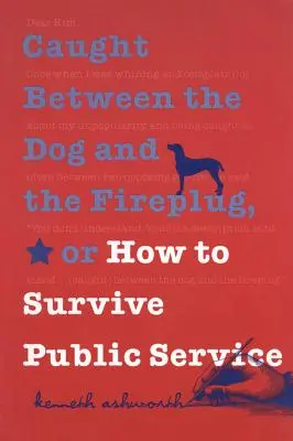 Atrapado entre el perro y el bombero, o cómo sobrevivir a la función pública - Caught Between the Dog and the Fireplug, or How to Survive Public Service
