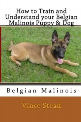 Cómo adiestrar y comprender a su cachorro y perro de raza belga malinois - How to Train and Understand Your Belgian Malinois Puppy & Dog