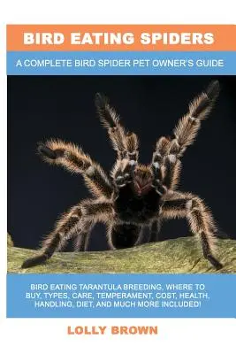 Arañas comedoras de aves: Cría de la tarántula come pájaros, dónde comprarla, tipos, cuidados, temperamento, coste, salud, manejo, dieta y mucho más en - Bird Eating Spiders: Bird Eating Tarantula breeding, where to buy, types, care, temperament, cost, health, handling, diet, and much more in