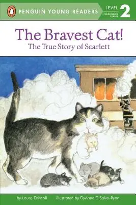 El gato más valiente - The Bravest Cat!