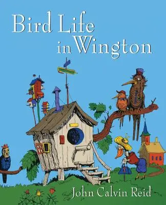 La avifauna de Wington - Bird Life in Wington