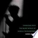 Turquoise Days: El extraño mundo de Echo & the Bunnymen - Turquoise Days: The Weird World of Echo & the Bunnymen