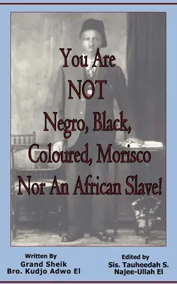 ¡Usted NO es negro, negra, de color, morisco ni esclavo africano! - You Are NOT Negro, Black, Coloured, Morisco Nor An African Slave!