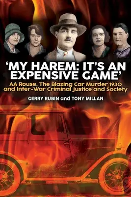 Mi harén: Es un juego caro - My Harem: It's an Expensive Game