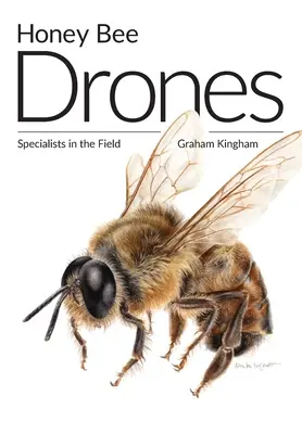 Drones de abejas melíferas: Especialistas en el campo - Honey Bee Drones: Specialists in the Field