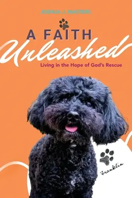 Una fe desatada: Vivir en la esperanza del rescate de Dios - A Faith Unleashed: Living in the Hope of God's Rescue