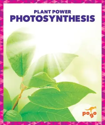 Fotosíntesis - Photosynthesis